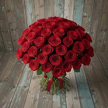Букет 55 Красных роз Фридом #REPLACE_PRED# Ивдели