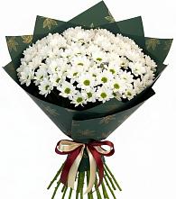 Букет цветов из:  Хризантемы #REPLACE_PRED# Ивдели