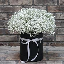 Цветочная композиция из Гипсофила в шляпной коробке в Ивдели