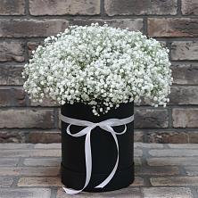 Цветочная композиция из Гипсофила в шляпной коробке в Ивдели
