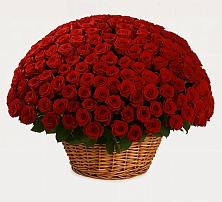 Премиум букет из: Розы в Ивдели